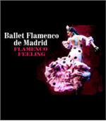 Ballet Flamenco Madrid