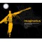 `Imaginarius´ - Festival de Teatro de Rua