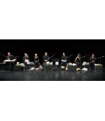 The First Vienna Vegetable Orchestra