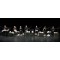 The First Vienna Vegetable Orchestra